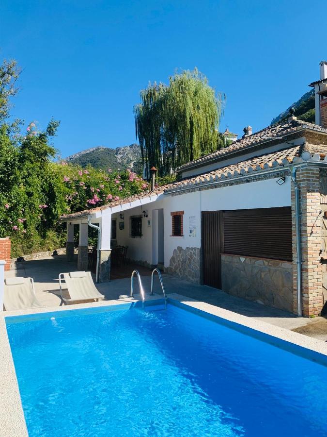 La Fuente De El Nacimiento Guest House Бенамаома Екстериор снимка