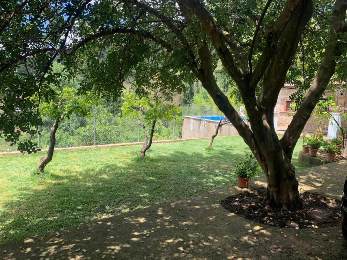 La Fuente De El Nacimiento Guest House Бенамаома Екстериор снимка