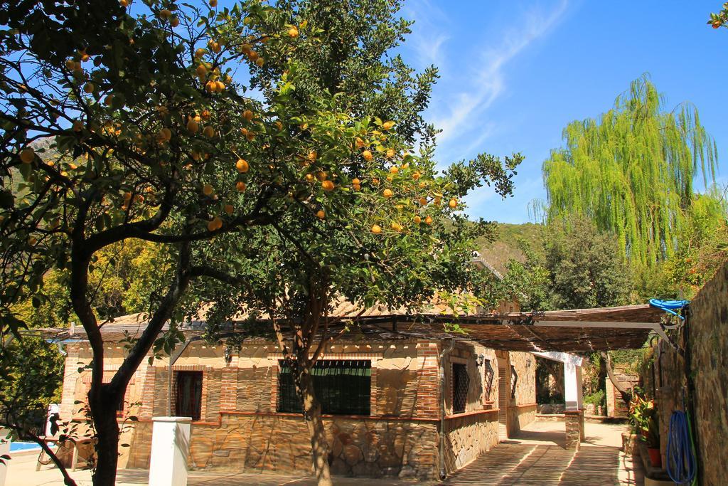 La Fuente De El Nacimiento Guest House Бенамаома Екстериор снимка