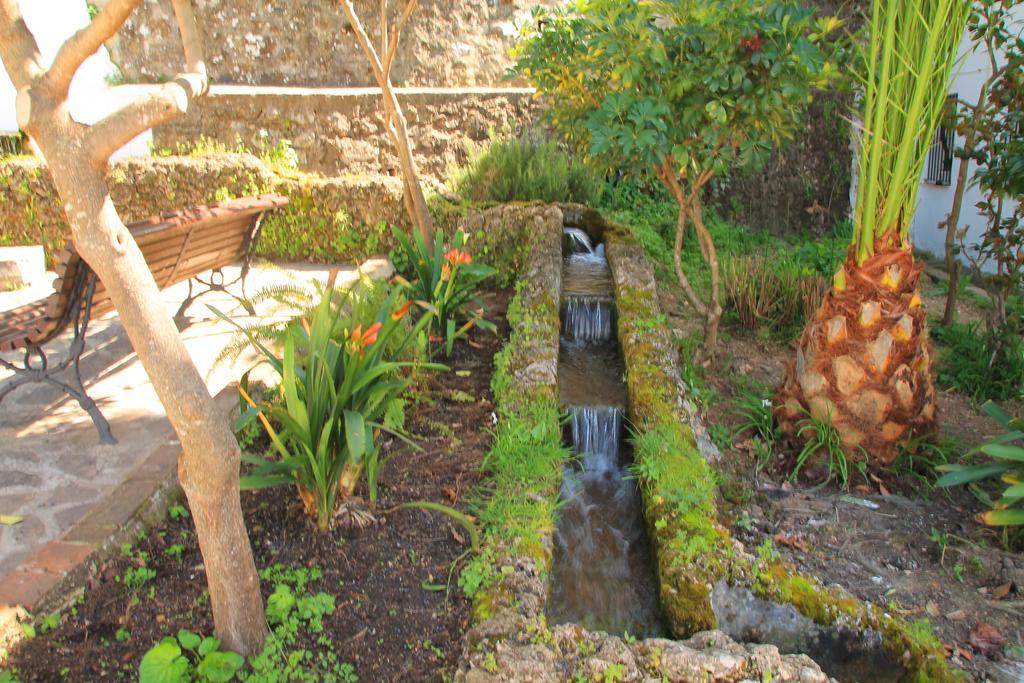 La Fuente De El Nacimiento Guest House Бенамаома Екстериор снимка